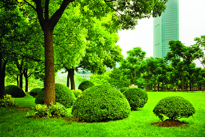 city garden