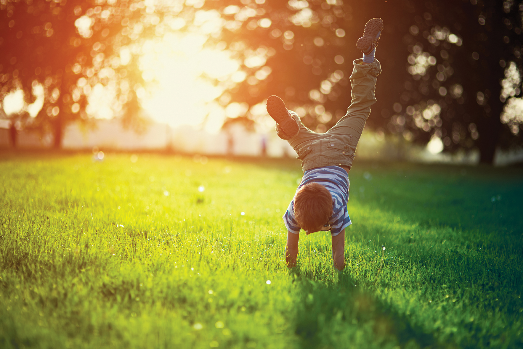 Portrait of a little boy having fun on grass in park