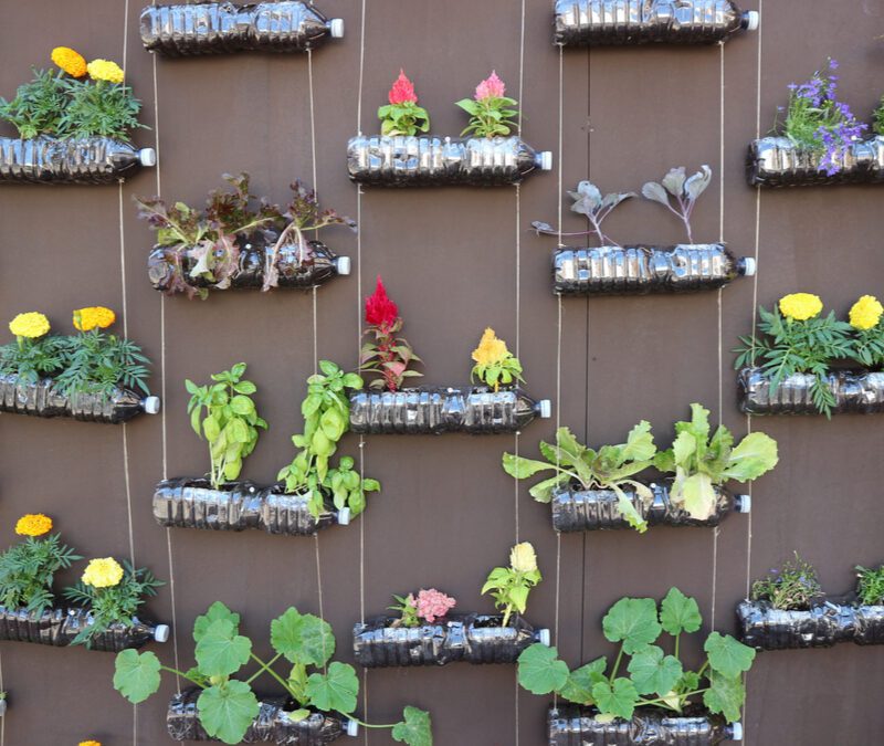 plastic bottles used to create vertical garden